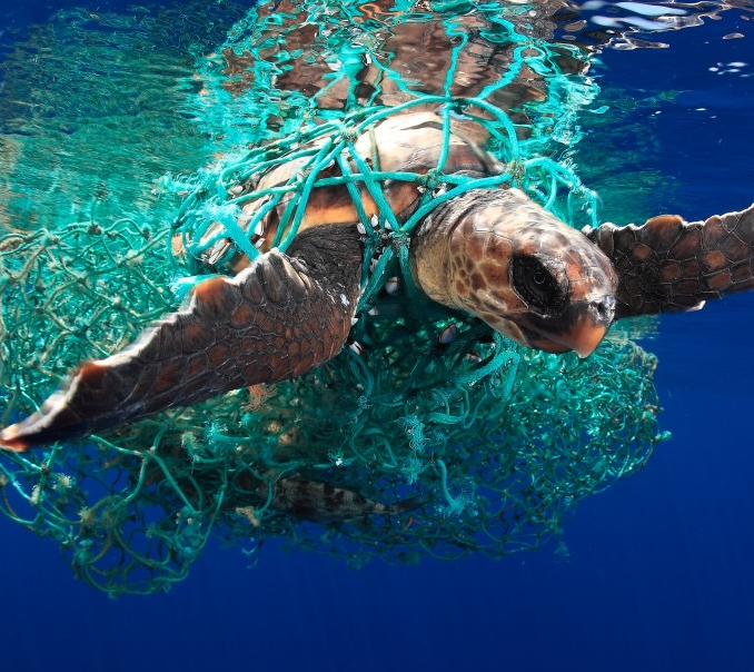 Plastica nei mari: focus sul mediterraneo